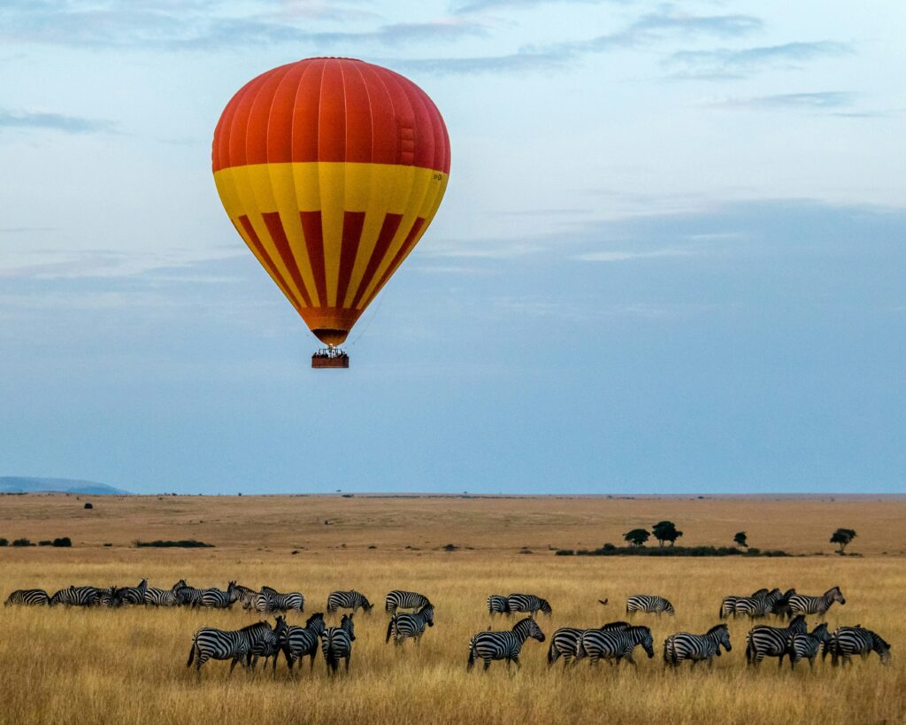 a hot air balloon over a field of zebras in Africa