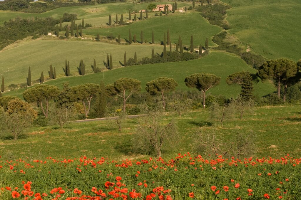 Tuscany